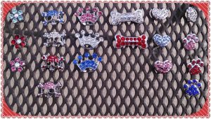 Personalized collar Charms
