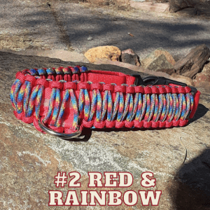 #2 red & rainbow
