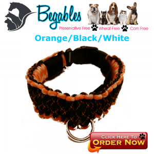 Orange Black White LED Collar