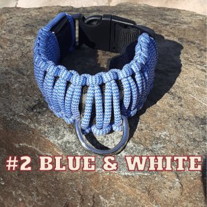 #2 blue & white