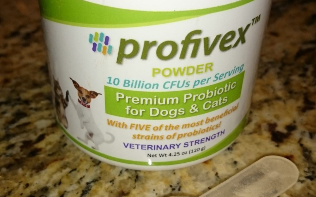 Profivex Probiotic Supplement for Dogs & Cats