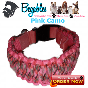 Pink Camo LED collar