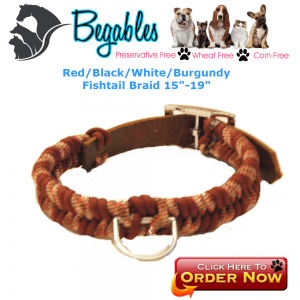 Paracord Leather collar