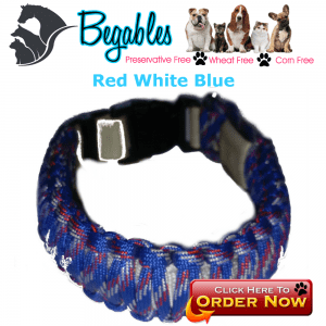 Red white blue LED collar