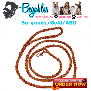 Burgundy/Gold/ASU leash