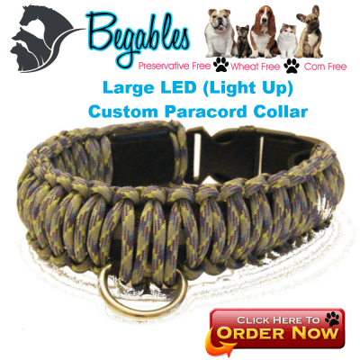 Large LED Collar