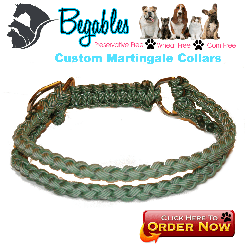 Baby Blue Paracord Cobra Dog Collar made to order