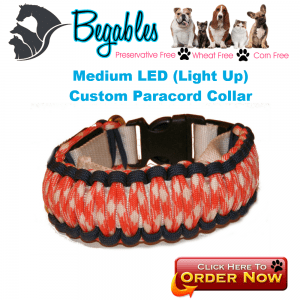 Medium LED Collar