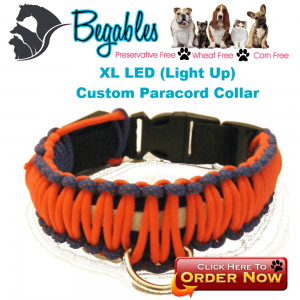 XL LED Collar