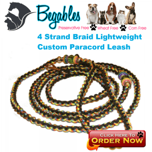 Lightweight 4 strand Leash