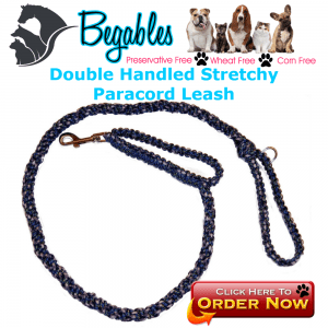 Double handled stretchy leash