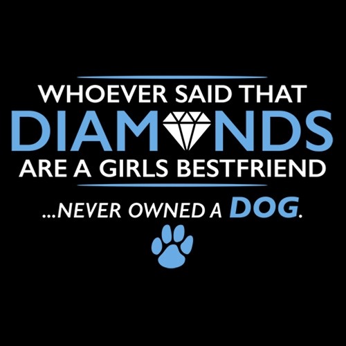 whoever said diamons are a girls best friend never owned a dog