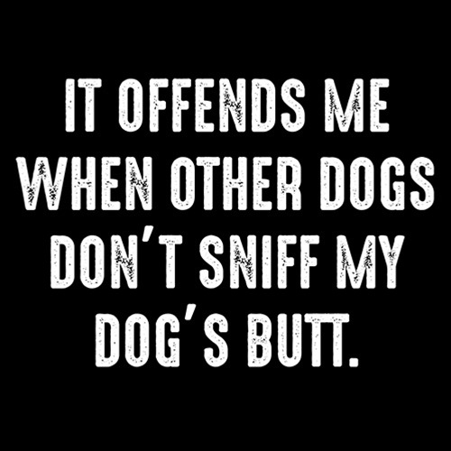 It offends me when other dogs dont sniff my dogs butt