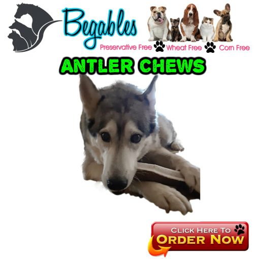 Antler Chews for Dogs