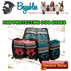 Paw protecting waterproof dog boots