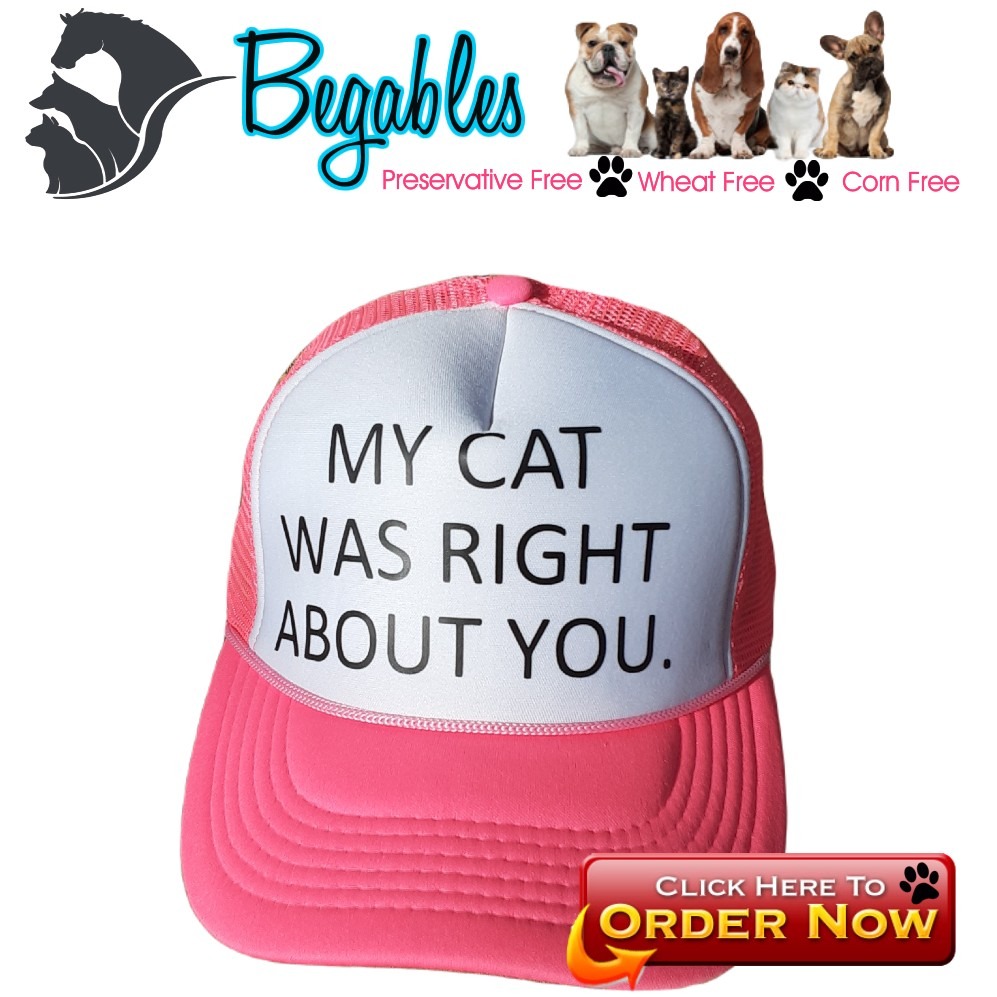 My cat was right about you hat