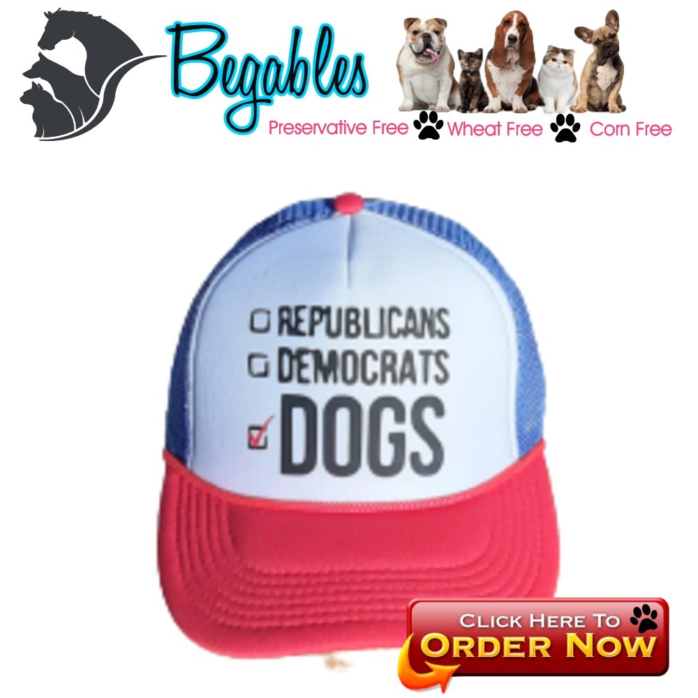 Political Vote for Dogs Hat